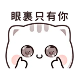 💗 眼裏只有你 cat, cute, cartoon, pig, love, eyes, expression telegram sticker