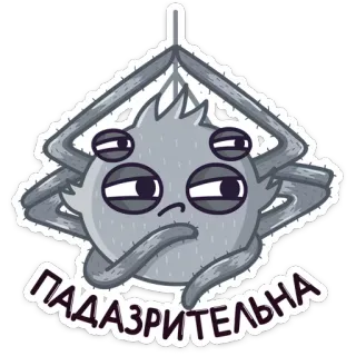 😑 ПАДАЗРЭЛЬНА Spinne, Cartoon, misstrauisch, grau, Insekt, niedlich whatsapp sticker