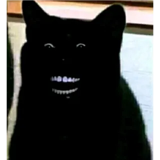 😂 chat, effrayant, chat noir, animal, mème, peur telegram sticker