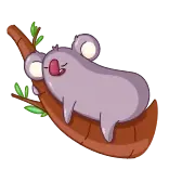 😴 коала, ленивый, сонный, милый, животное, ветка, расслабляющий whatsapp sticker