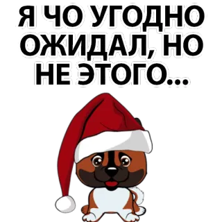 😱 Я ЧТО УГОДНО ОЖИДАЛ, НО НЕ ЭТОГО... dog, santa hat, christmas, russian, sticker telegram sticker