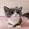 🥰
