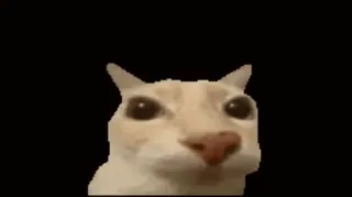😐 Katze, Tier, Meme, Lustig, Haustier, Süß telegram sticker