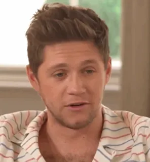 🎸 Niall Horan pessoa, cantor, Niall Horan, celebridade telegram sticker