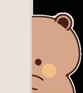 👀 urso, espiar, fofo, animal telegram sticker