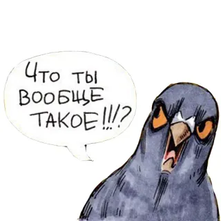 😧 Что ты вообще такое!!!? oiseau, pigeon, russe, en colère, question whatsapp sticker