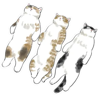 😴 猫, 動物, ペット, 可愛い, イラスト, かわいい telegram sticker