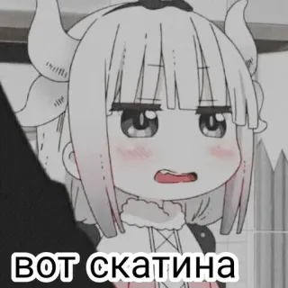 🍙 ВОТ СКАТИНА anime, hoạt hình, hài hước, nhãn dán telegram sticker