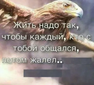 😂 Жить надо так, чтобы каждый, кто с тобой общался, потом жалел.. aigle, oiseau, russe, texte, citation, motivation telegram sticker