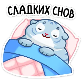 😴 СЛАДКИХ СНОВ แมว, นอนหลับ, หมอน, ผ้าห่ม, ฝันดี, การ์ตูน telegram sticker
