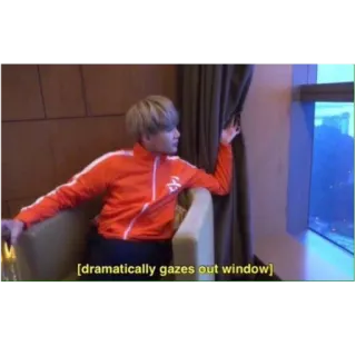 🤡 dramatically gazes out window 응시, 창문, 드라마, 사람, 실내 whatsapp sticker