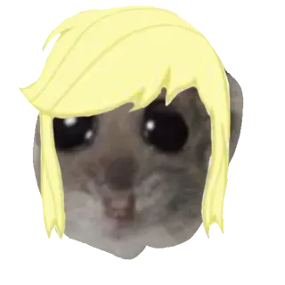🍏 flying squirrel flying squirrel, meme, blonde hair, funny, rodent, animal telegram sticker
