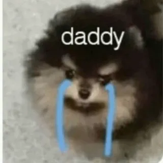 🌪 daddy cane, cucciolo, piangendo, lacrime, carino telegram sticker