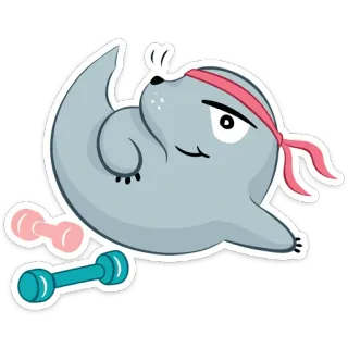 🏋‍♂ тюлень, фитнес, мультфильм, гири, упражнение, милый, животное telegram sticker