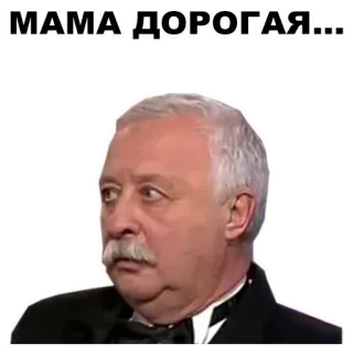 ✌️ MAMA ДОРОГАЯ... telegram sticker