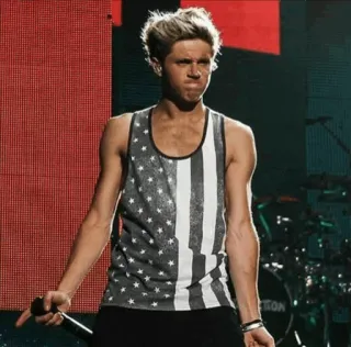 🍃 Niall Horan 나일 호란, 원 디렉션, 미국 국기, 가수, 유명인 telegram sticker