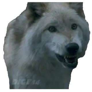 @STIKERFORALL 🇬🇧 GAME OF THRONES telegram stickers