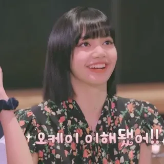 🌼 오케이 이해 됐어!! человек, женщина, улыбается, кореянка telegram sticker