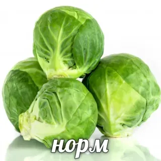 Hype Food • @TgStickery telegram stickers