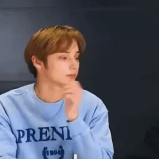 🙁 PRENI persona, sudadera, ropa telegram sticker