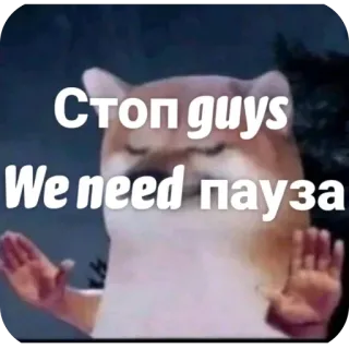 🫥 Cheems Стоп guys We need пауза Cheems, meme, stop, pause, doge, funny, shiba inu telegram sticker