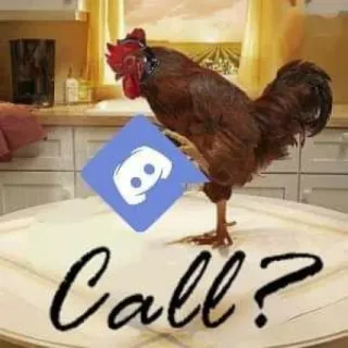 📞 Call? pollo, Discord, chiamata, meme, umorismo telegram sticker