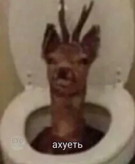 🚽 ахуеть veado, sanita, ofensivo, animal, engraçado telegram sticker
