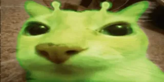 😐 Katze, grün, Alien, Tier, lustig telegram sticker