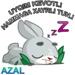 😴 UYQIM KEVOTI.! HAMMAGA XAYRLI TUN.! Hase, Schlaf, Gute Nacht, Cartoon, Tier, süß telegram sticker