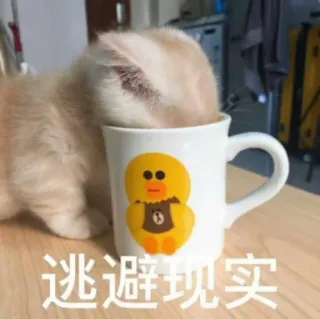 😭 逃避现实 gato, taza, dibujo animado, animal, pato, escape, realidad telegram sticker