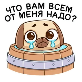😢 ЧТО ВАМ ВСЕМ ОТ МЕНЯ НАДО? pug, dog, crying, sad, cartoon, animal, sticker telegram sticker