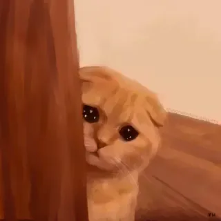 🥺 chat, animal, mignon, triste, mème, chaton, animal de compagnie whatsapp sticker