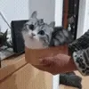 🎁