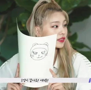 💐 고양니 같아요? 여러분? disegno gatto, testo coreano, illustrazione, carta, donna whatsapp sticker