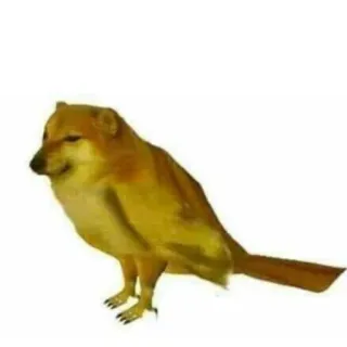 🐕 doge, cheems, meme, dog, bird, animal telegram sticker