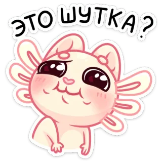 🤨 ЭТО ШУТКА? aksolotl, słodki, pytanie, naklejka, kreskówka, różowy whatsapp sticker