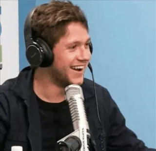 🌈 Niall Horan 음악가, 가수, 나일 호란, 원디렉션 telegram sticker