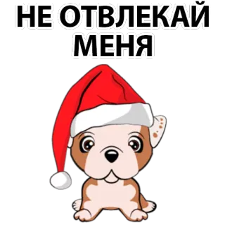 🙁 НЕ ОТВЛЕКАЙ МЕНЯ dog, santa hat, christmas, do not disturb, puppy, cute, holiday, animal telegram sticker