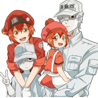 ✌️ Cells at Work! Anime, Cells at Work, Rote Blutkörperchen, Weiße Blutkörperchen, Charaktere, Medizinisch, Süß, Kawaii telegram sticker