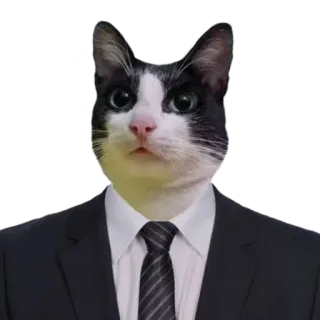 👨‍⚖️ 고양이, 정장, 턱시도, 동물, 애완 동물, 정장 telegram sticker