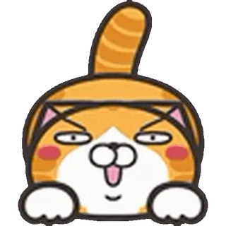 🐈