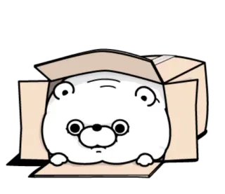 😐 animal, oso, lindo, caja, dibujos animados telegram sticker