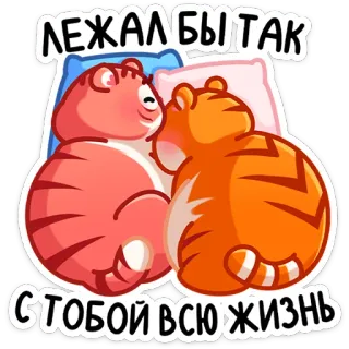 ☺️ ЛЕЖАЛ БЫ ТАК
С ТОБОЙ ВСЮ ЖИЗНЬ gatos, amor, cama, preguiçoso, animais whatsapp sticker