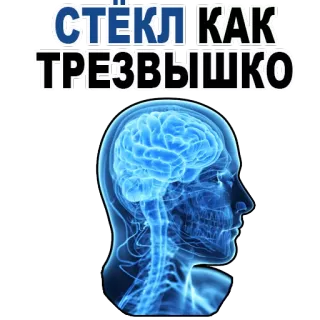 😉 СТЕКЛ КАК ТРЕЗВЫШКО brain, anatomy, medical, human, science telegram sticker