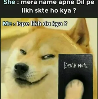 🥴 Doge Death Note She: mera name apne Dil pe likh skte ho kya? Me: Ispe likh du kya? telegram sticker