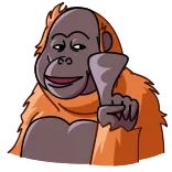 🙅♂️ Orangutan, Jari tengah, Kartun, Kera, Primata, Menyinggung whatsapp sticker