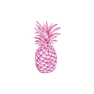 🍍 Ananas, Frucht, Rosa, Tropisch telegram sticker