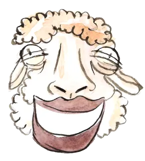 😄 con cừu, động vật, màu nước, hoạt hình, mặt cười, hình minh họa, kỳ quái telegram sticker