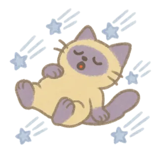 🐈‍⬛ chat, dormir, mignon, animal, étoiles whatsapp sticker