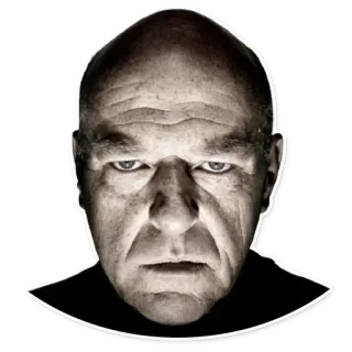 😾 Hank Schrader Breaking Bad Hank Schrader, Breaking Bad, TV show, face, sticker, character telegram sticker